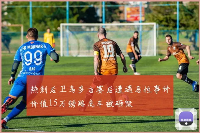 热刺后卫乌多吉赛后遭遇恶性事件价值15万镑路虎车被砸毁
